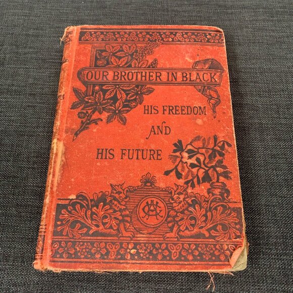 Our Brother in Black: His Freedom and His Future 1887 HAYGOOD, Atticus G. - Picture 1 of 16